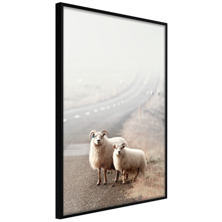 Poster Extraordinary Hitchhikers - landscape of animals by the road against a field 130235 additionalImage 5