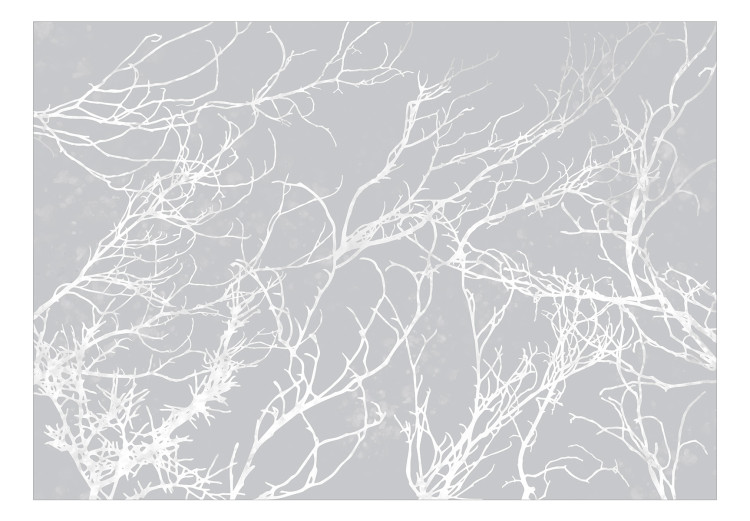 Wall Mural White Trees 132235 additionalImage 1