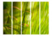 Room Divider Screen Bamboo - nature zen II [Room Dividers] 132535 additionalThumb 3