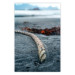 Poster Cruise Memory - majestic landscape of a dark beach with laid ropes 138735