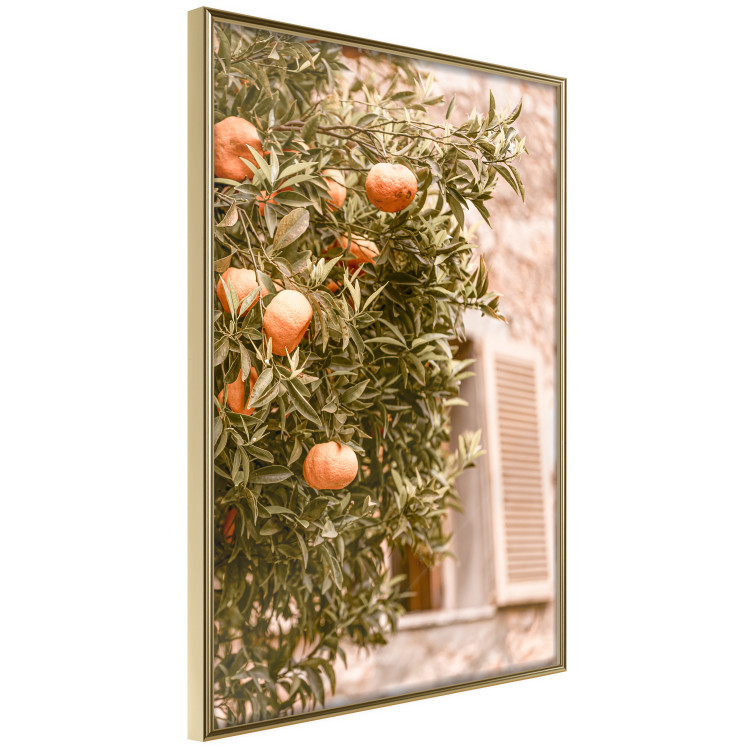 Wall Poster Urban Greenery - Citrus Tree Against the Background of an Old Building 145235 additionalImage 5