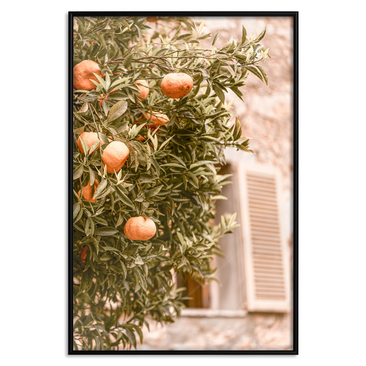 Wall Poster Urban Greenery - Citrus Tree Against the Background of an Old Building 145235 additionalImage 26