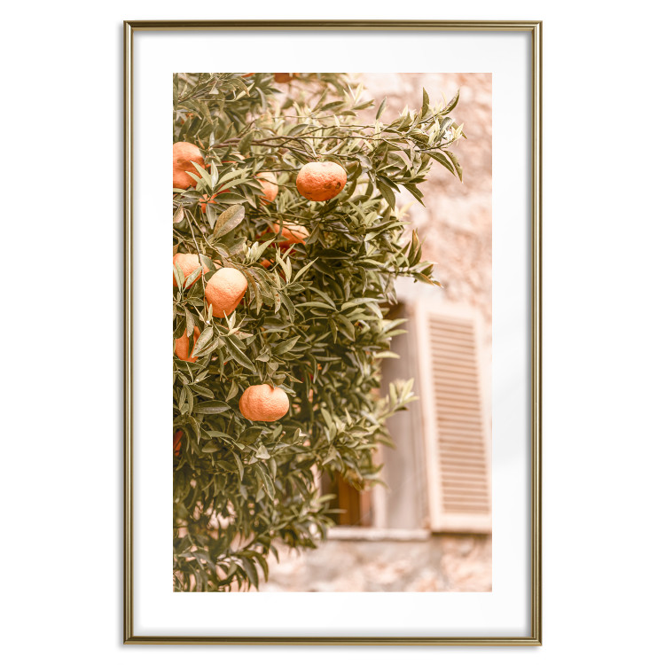 Wall Poster Urban Greenery - Citrus Tree Against the Background of an Old Building 145235 additionalImage 23