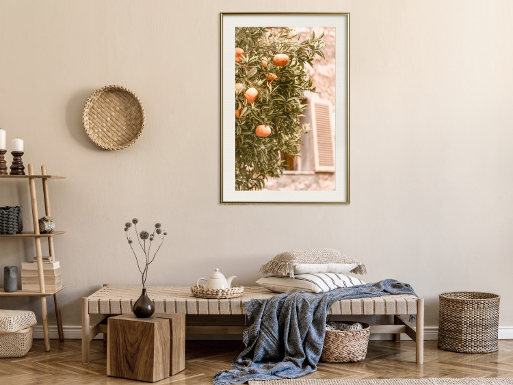 Wall Poster Urban Greenery - Citrus Tree Against the Background of an Old Building 145235 additionalImage 19