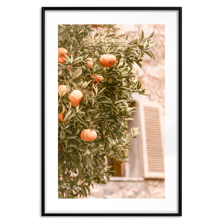 Wall Poster Urban Greenery - Citrus Tree Against the Background of an Old Building 145235 additionalImage 11
