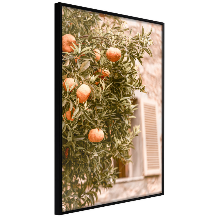 Wall Poster Urban Greenery - Citrus Tree Against the Background of an Old Building 145235 additionalImage 6