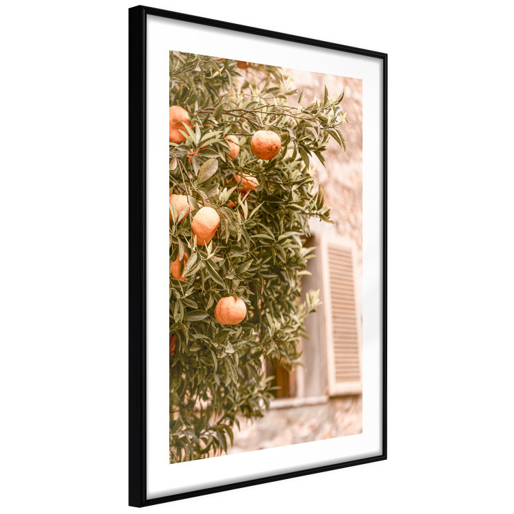 Wall Poster Urban Greenery - Citrus Tree Against the Background of an Old Building 145235 additionalImage 7
