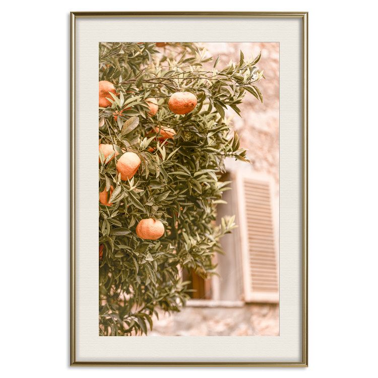 Wall Poster Urban Greenery - Citrus Tree Against the Background of an Old Building 145235 additionalImage 24