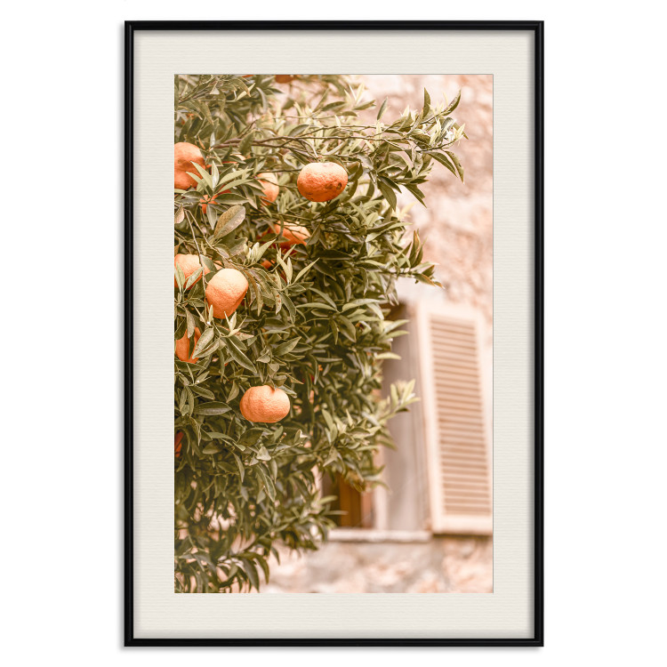 Wall Poster Urban Greenery - Citrus Tree Against the Background of an Old Building 145235 additionalImage 27