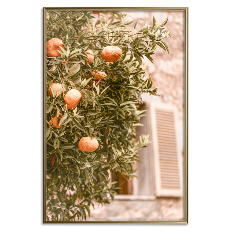Wall Poster Urban Greenery - Citrus Tree Against the Background of an Old Building 145235 additionalImage 22