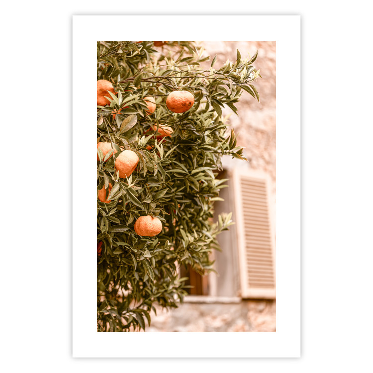 Wall Poster Urban Greenery - Citrus Tree Against the Background of an Old Building 145235 additionalImage 21