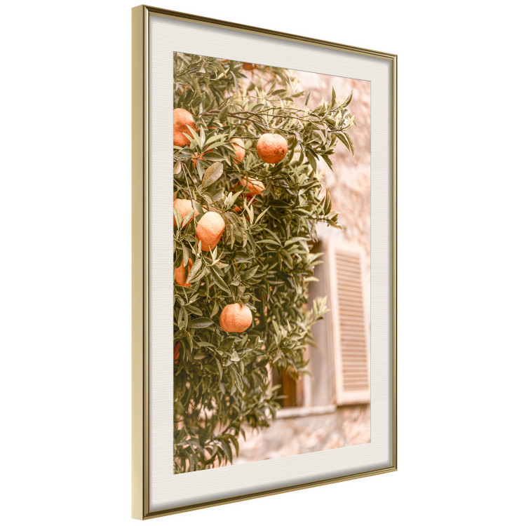 Wall Poster Urban Greenery - Citrus Tree Against the Background of an Old Building 145235 additionalImage 10