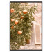 Wall Poster Urban Greenery - Citrus Tree Against the Background of an Old Building 145235 additionalThumb 26