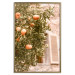 Wall Poster Urban Greenery - Citrus Tree Against the Background of an Old Building 145235 additionalThumb 22