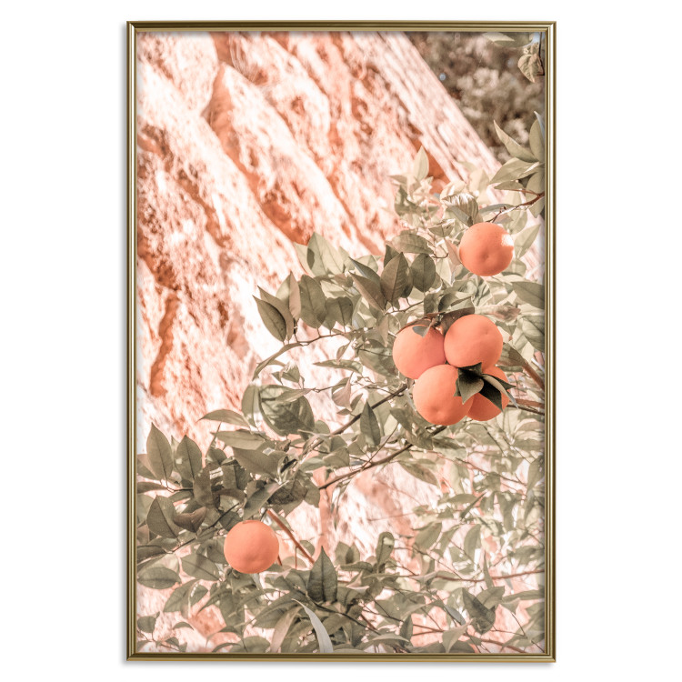 Poster Young Clementines - Branch of a Mandarin Tree With Fruits 145335 additionalImage 24