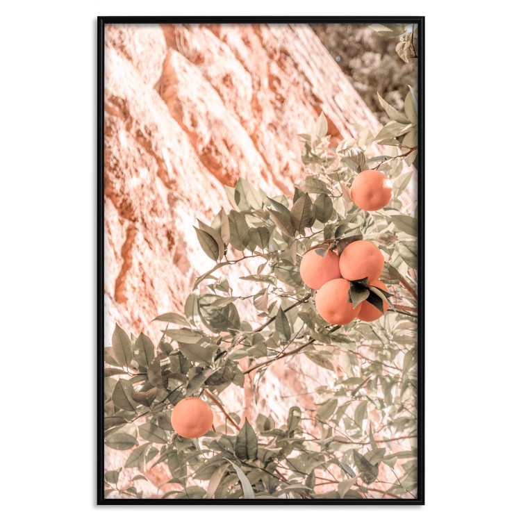 Poster Young Clementines - Branch of a Mandarin Tree With Fruits 145335 additionalImage 23