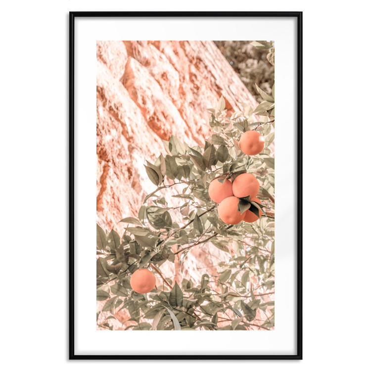 Poster Young Clementines - Branch of a Mandarin Tree With Fruits 145335 additionalImage 27