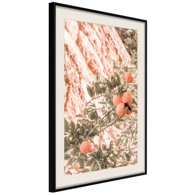 Poster Young Clementines - Branch of a Mandarin Tree With Fruits 145335 additionalImage 9