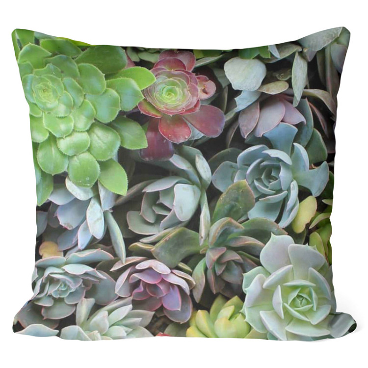 Decorative Microfiber Pillow Variety of succulents - a plant composition with rich detailing cushions 146835