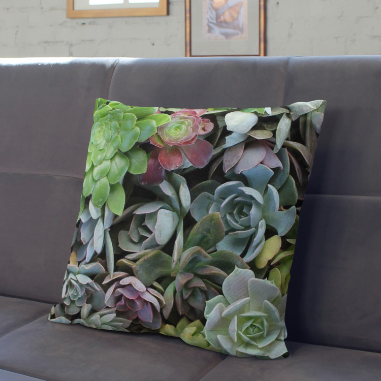 Decorative Microfiber Pillow Variety of succulents - a plant composition with rich detailing cushions 146835 additionalImage 3