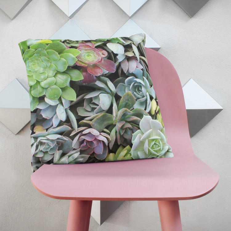 Decorative Microfiber Pillow Variety of succulents - a plant composition with rich detailing cushions 146835 additionalImage 2