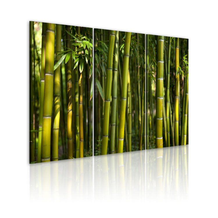 Canvas Green bamboo  58835 additionalImage 2