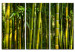 Canvas Green bamboo  58835