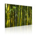 Canvas Green bamboo  58835 additionalThumb 2