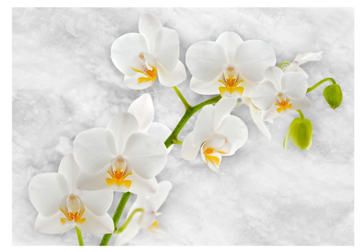 Photo Wallpaper Lyrical Orchid - Bright Floral Motif in White with Green Elements 60235 additionalImage 1