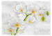 Photo Wallpaper Lyrical Orchid - Bright Floral Motif in White with Green Elements 60235 additionalThumb 1