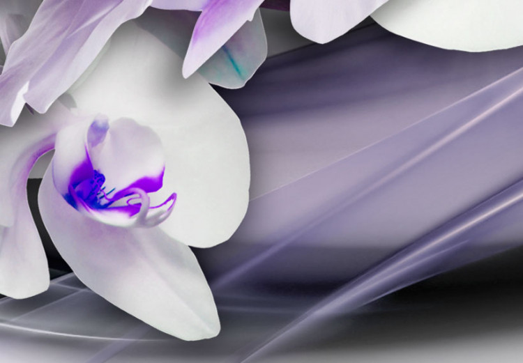Canvas Coolness of Orchid 62435 additionalImage 4