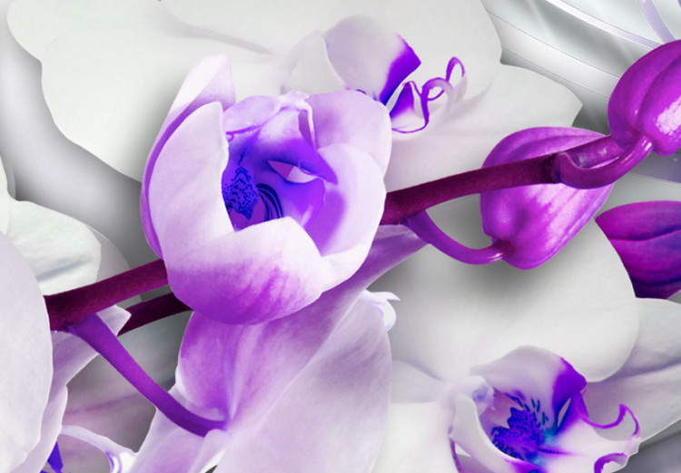 Canvas Coolness of Orchid 62435 additionalImage 5