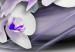 Canvas Coolness of Orchid 62435 additionalThumb 4