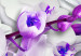 Canvas Coolness of Orchid 62435 additionalThumb 5