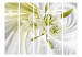 Room Divider Screen Green Enchantment II - white-green lily flowers on a white swirl background 95235 additionalThumb 3