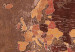 Decorative Pinboard Mahogany World [Cork Map] 96035 additionalThumb 6