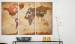 Decorative Pinboard Maps: Brown Elegance [Cork Map] 96135 additionalThumb 3