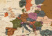 Decorative Pinboard Maps: Brown Elegance [Cork Map] 96135 additionalThumb 6