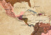 Decorative Pinboard Maps: Brown Elegance [Cork Map] 96135 additionalThumb 5