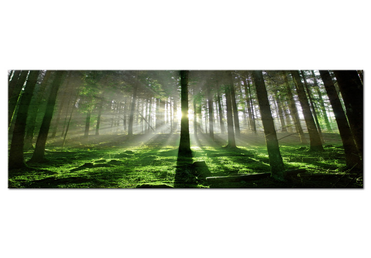 Canvas Print Emerald Forest - Landscape of Green Nature with Sunbeams 97935