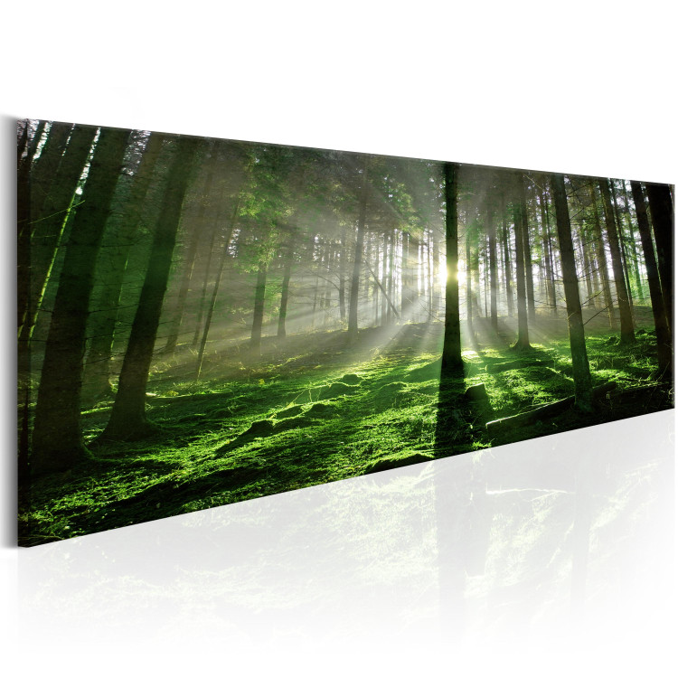 Canvas Print Emerald Forest - Landscape of Green Nature with Sunbeams 97935 additionalImage 2
