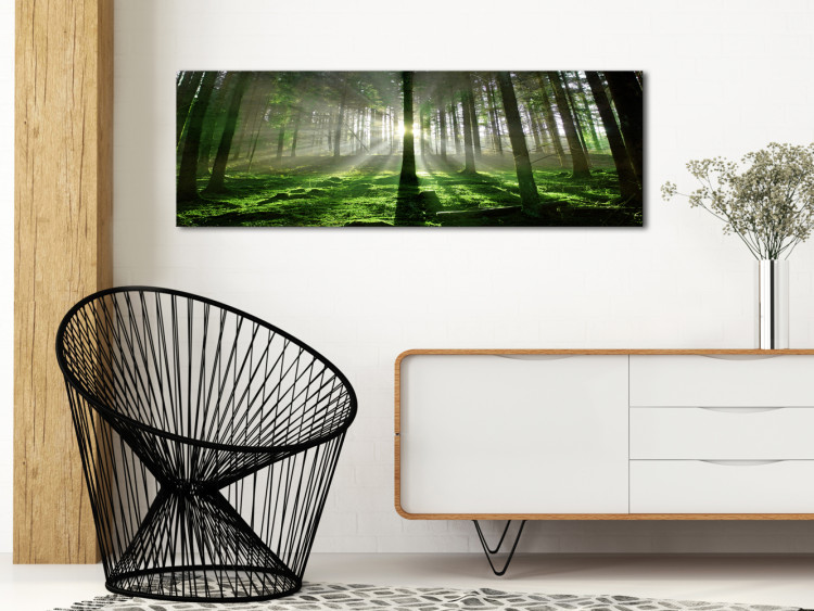 Canvas Print Emerald Forest - Landscape of Green Nature with Sunbeams 97935 additionalImage 3