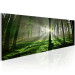 Canvas Print Emerald Forest - Landscape of Green Nature with Sunbeams 97935 additionalThumb 2