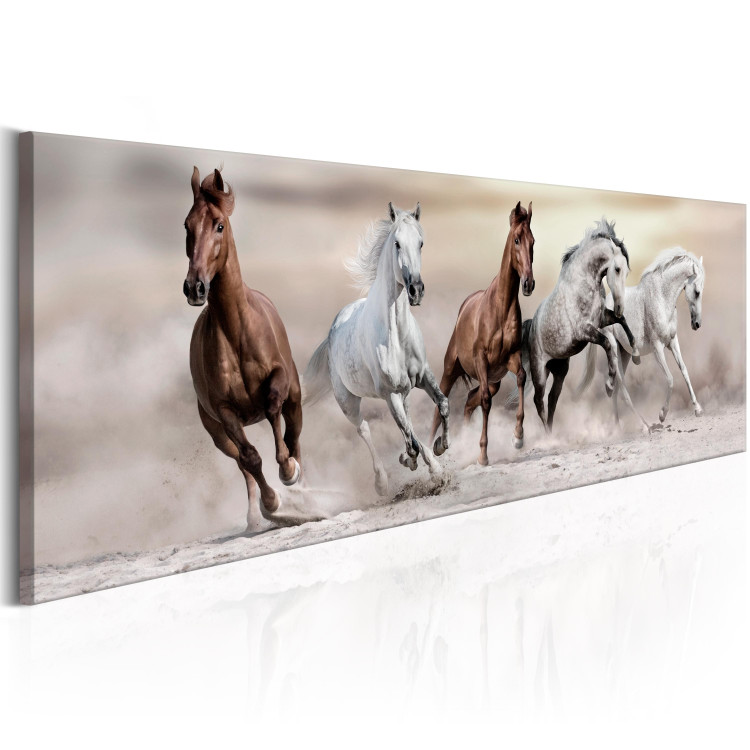 Canvas Art Print Gallop to Freedom - Brown and White Horses Running on Dry Sand 98135 additionalImage 2