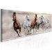 Canvas Art Print Gallop to Freedom - Brown and White Horses Running on Dry Sand 98135 additionalThumb 2