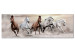 Canvas Art Print Gallop to Freedom - Brown and White Horses Running on Dry Sand 98135