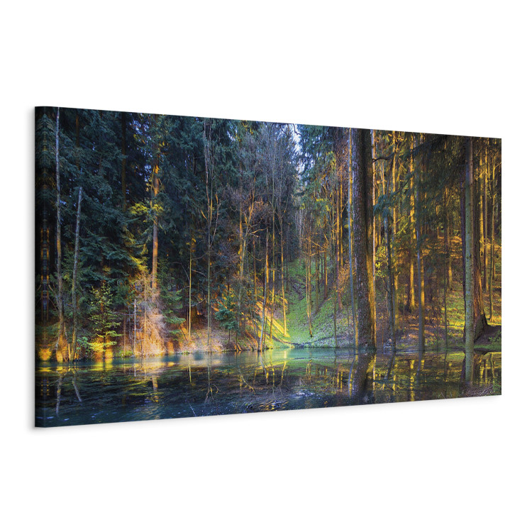 Canvas Pond in the Forest (1 Part) Narrow 108245 additionalImage 2
