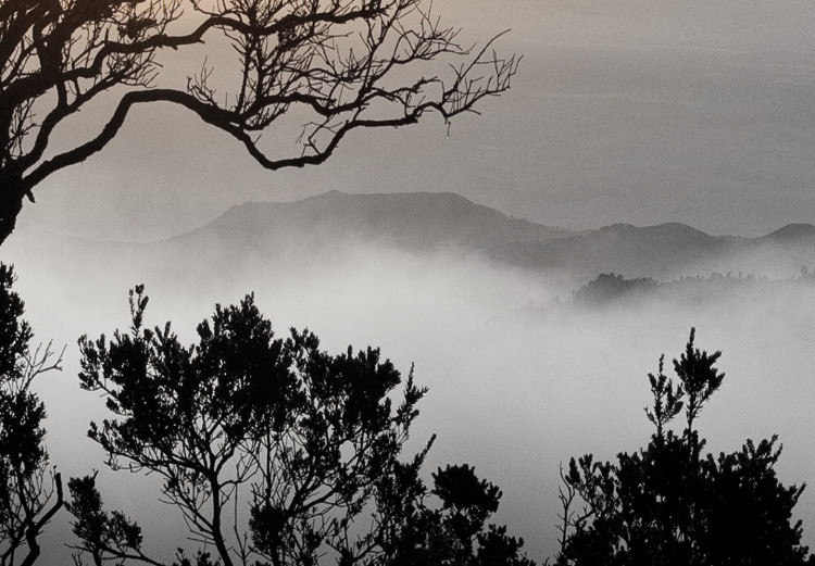 Canvas Misty Morning (1-part) - Landscape of Cloudy Sunrise 117245 additionalImage 4