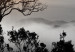 Canvas Misty Morning (1-part) - Landscape of Cloudy Sunrise 117245 additionalThumb 4