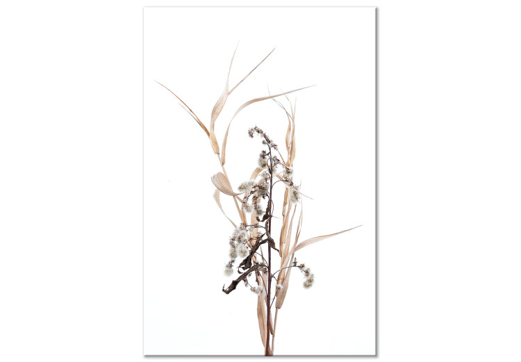 Canvas Art Print Memories of autumn - a minimalistic plant motif in the scandi style 119145